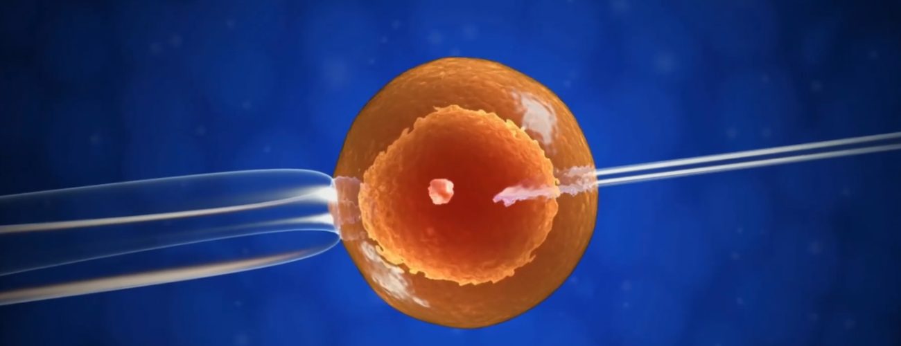 Preimplantasyon Tanı 1 Preimplantasyon Tanı 1