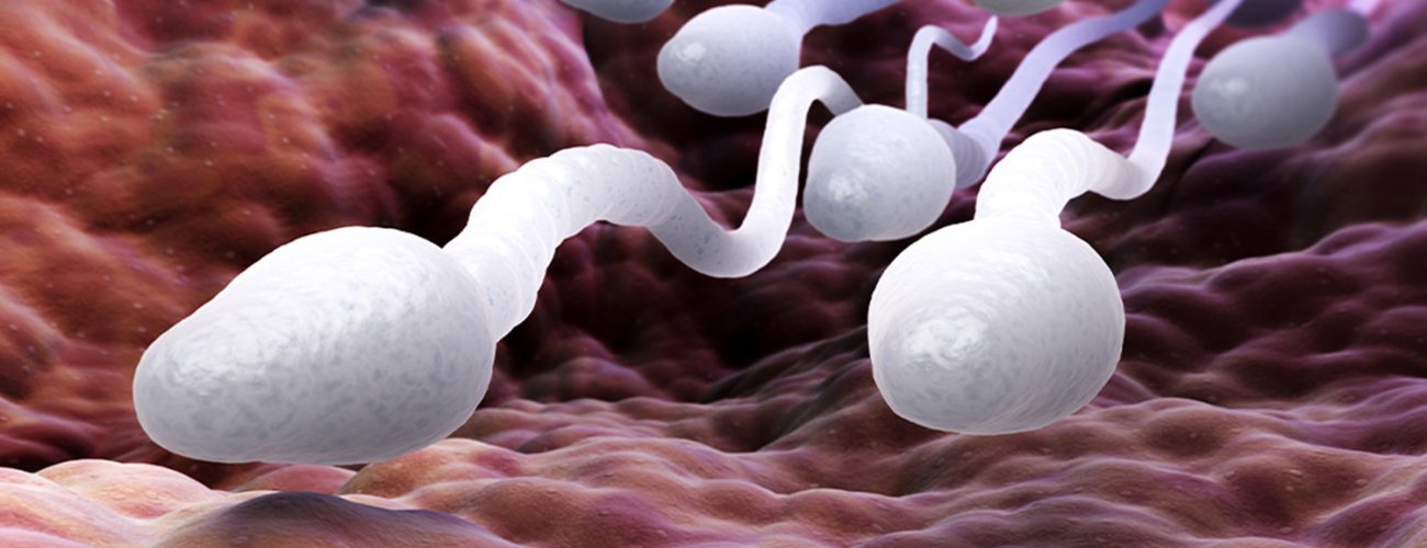 Semen Analizi 1 Semen Analizi 1
