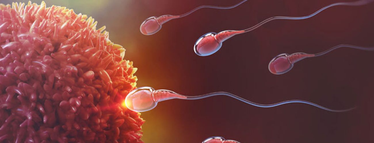 Sperm Arama Teknikleri 1 Sperm Arama Teknikleri 1