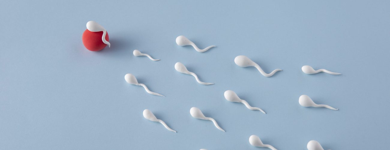 Sperm Hazırlama 1 Sperm Hazırlama 1