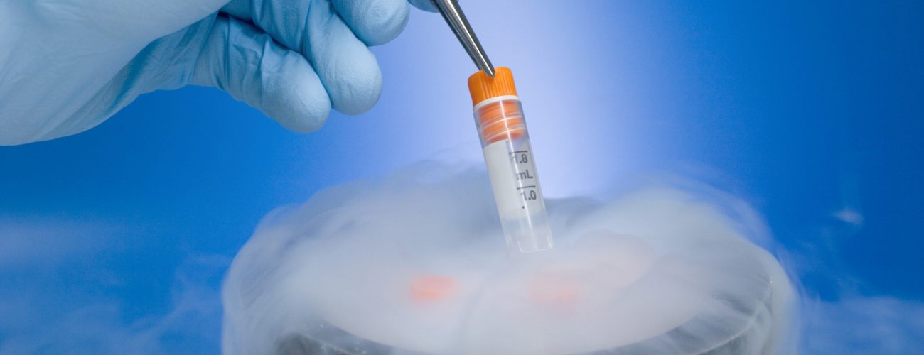 Yumurta Dondurma 1 Cryopreservation